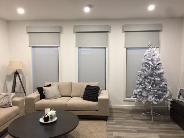 Day-night-blind-in-a-beautiful-room