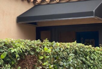 FRENCH HOOD DOOR CANOPY 2